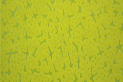 chicken-claw-pattern-non-woven-fabric-11