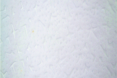 chicken-claw-pattern-non-woven-fabric-13